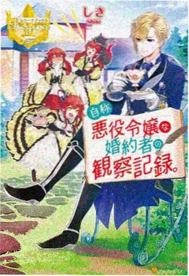 零号使徒 机战动漫封面